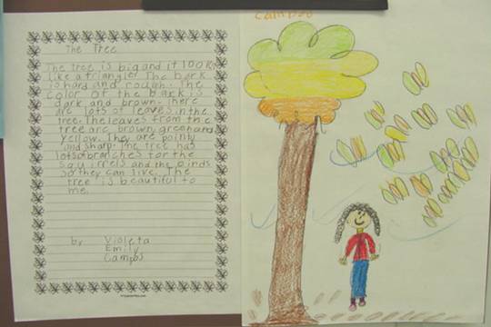 Fall Artwork by Violeta
